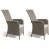 Chaises De Jardin Inclinables Vermont 2 Pcs Cappuccino Allibert - Brun