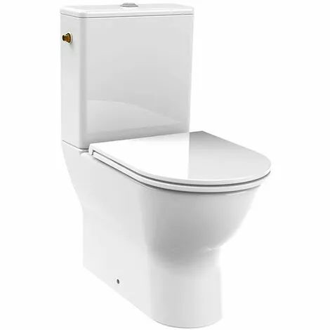 ALLIBERT Pack WC à Poser DUNEO - Mécanisme 3/6L Et Alimentation D'eau Silencieuse - Blanc 1 ALLIBERT Pack WC à Poser DUNEO - Mécanisme 3/6L Et Alimentation D'eau Silencieuse - Blanc